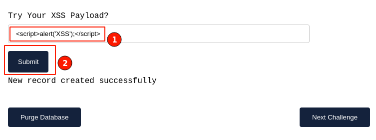 Figure 5: Inserting XSS Payload