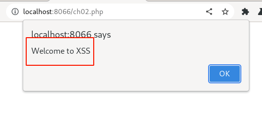 Figure 4: XSS Payload Alert Message