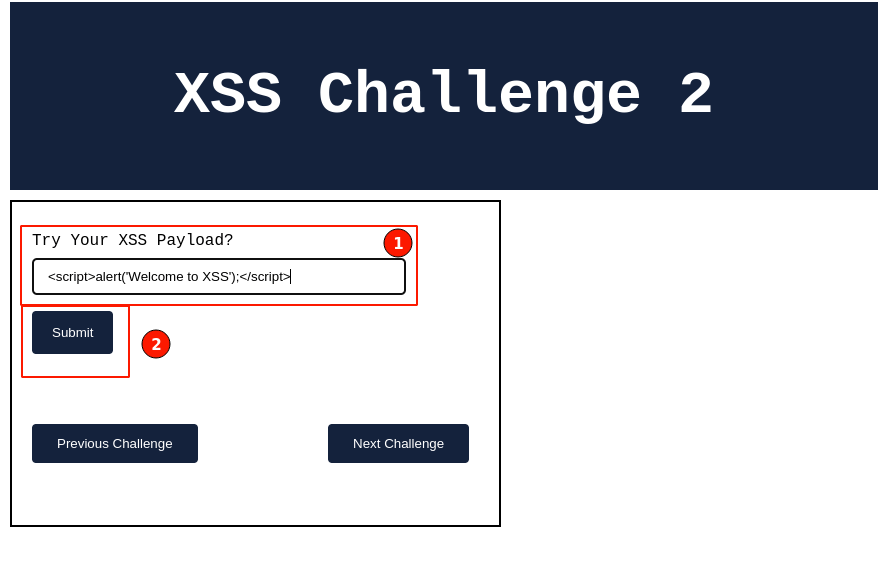 Figure 3: XSS Payload Injection