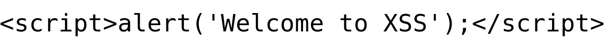 Figure 2: XSS Payload