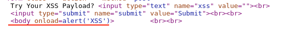Figure 6: Fourth XSS Payload HTML Page Source