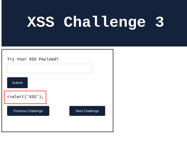 Figure 4: Second XSS Payload Result