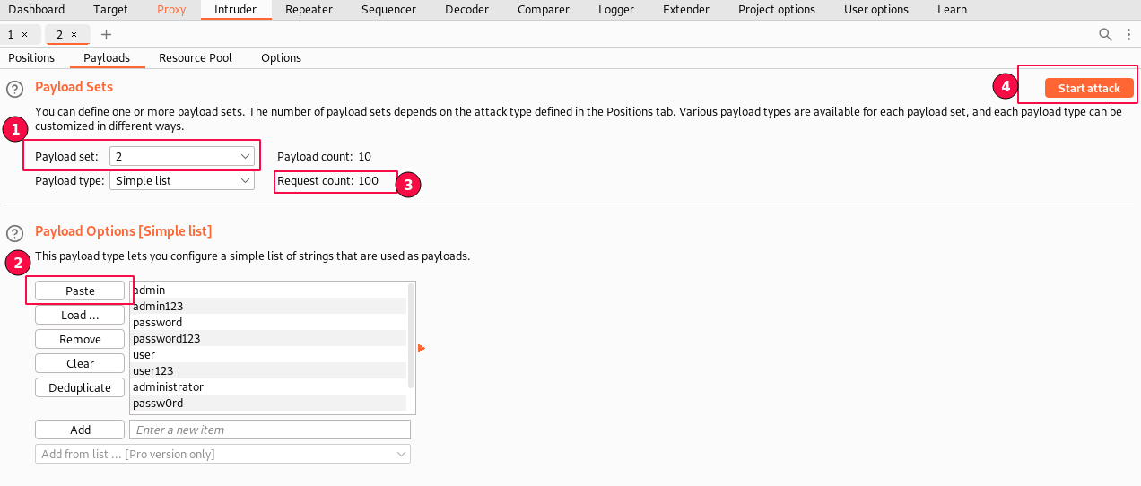 Figure 13: Password Payloads