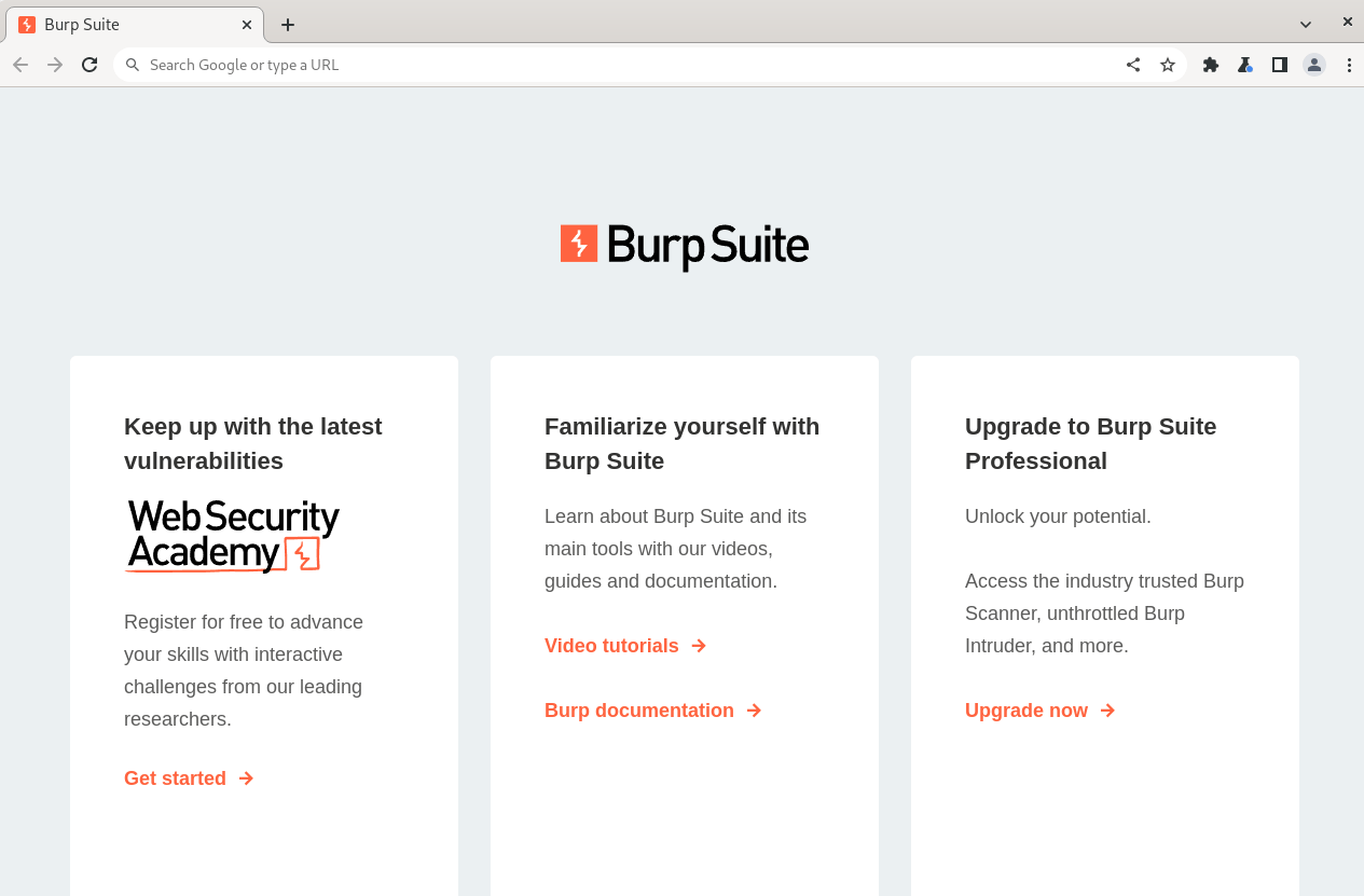 Figure 3: Burp Suite In-Built Chromium Browser