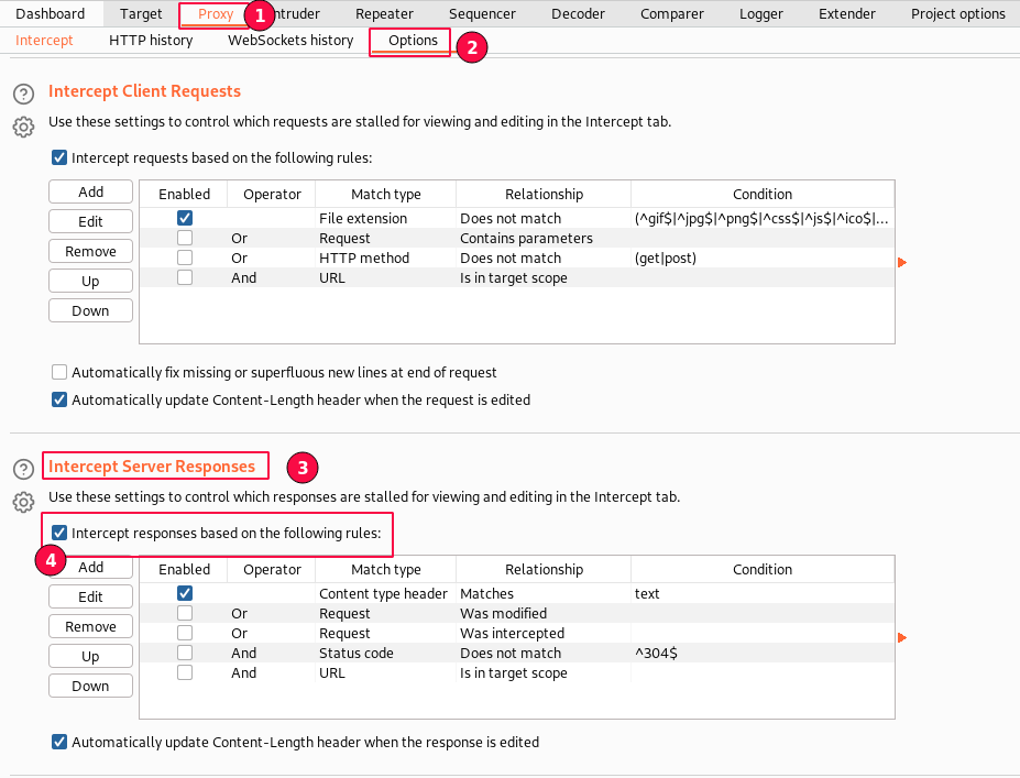 Figure 5: BurpSuite Proxy - Enable Intercept Server Responses