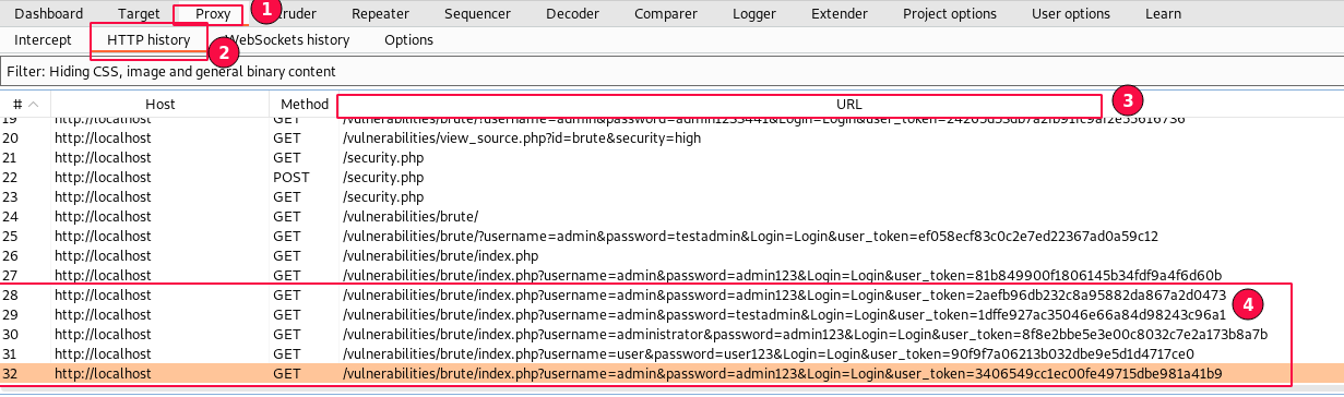 Figure 6: BurpSuite HTTP History