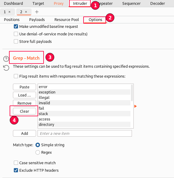 Figure 5: Burp Suite Grep - Match