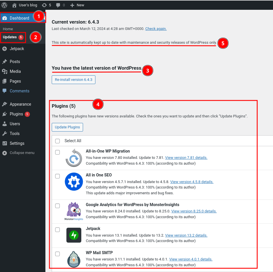 Figure 3: WordPress Dashboard - Updates Information