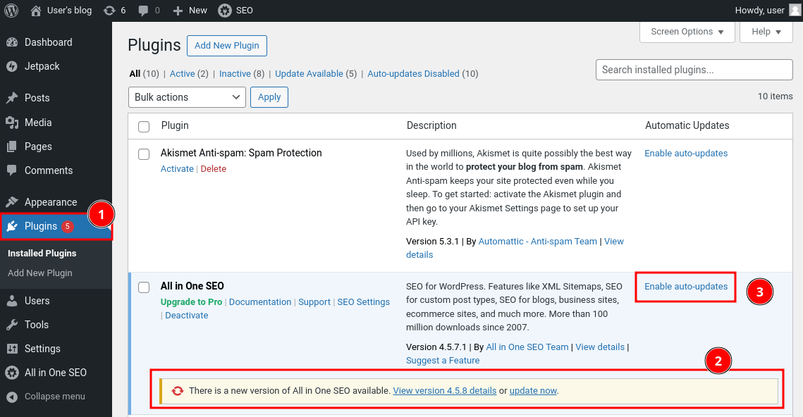 Figure 4: WordPress Plugin Updates