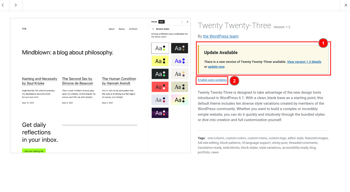 Figure 5: WordPress Theme Update