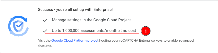 Figure 18: Google reCaptha Limits Check