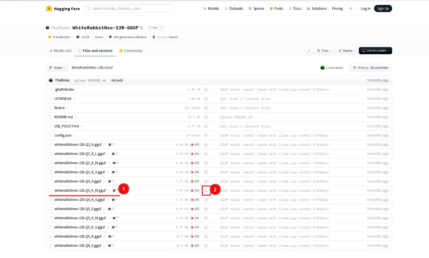 Figure 2: Download the WhiteRabbitNeo GGUF file from the TheBloke shared repository.